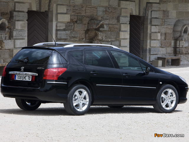 Images of Peugeot 407 SW 2008–10 (640 x 480)