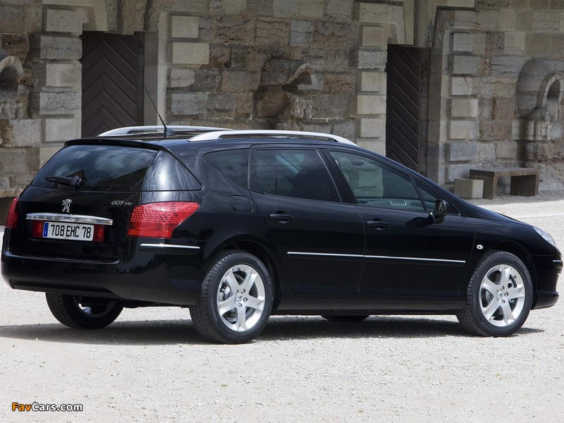 Images of Peugeot 407 SW 2008–10 (800 x 600)