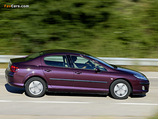 Peugeot 407 Sedan 2004–08 images (640 x 480)