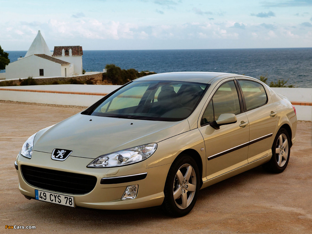 Peugeot 407 Sedan 2004–08 photos (1024 x 768)