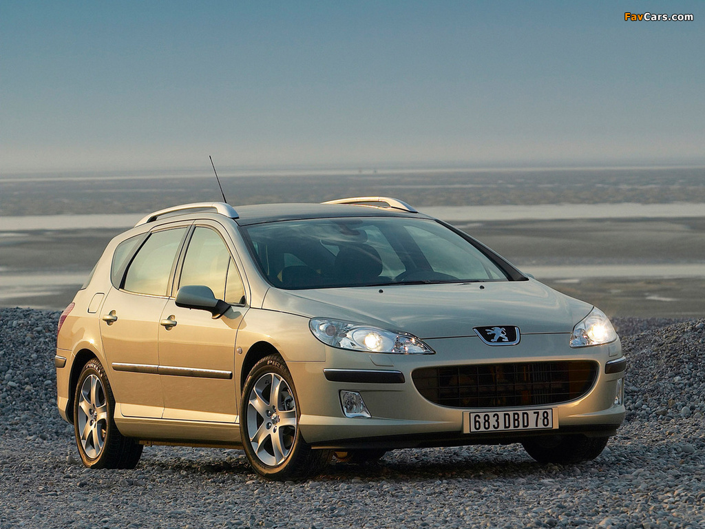 Peugeot 407 SW 2004–08 pictures (1024 x 768)