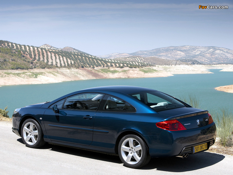 Peugeot 407 Coupe 2005–10 images (800 x 600)