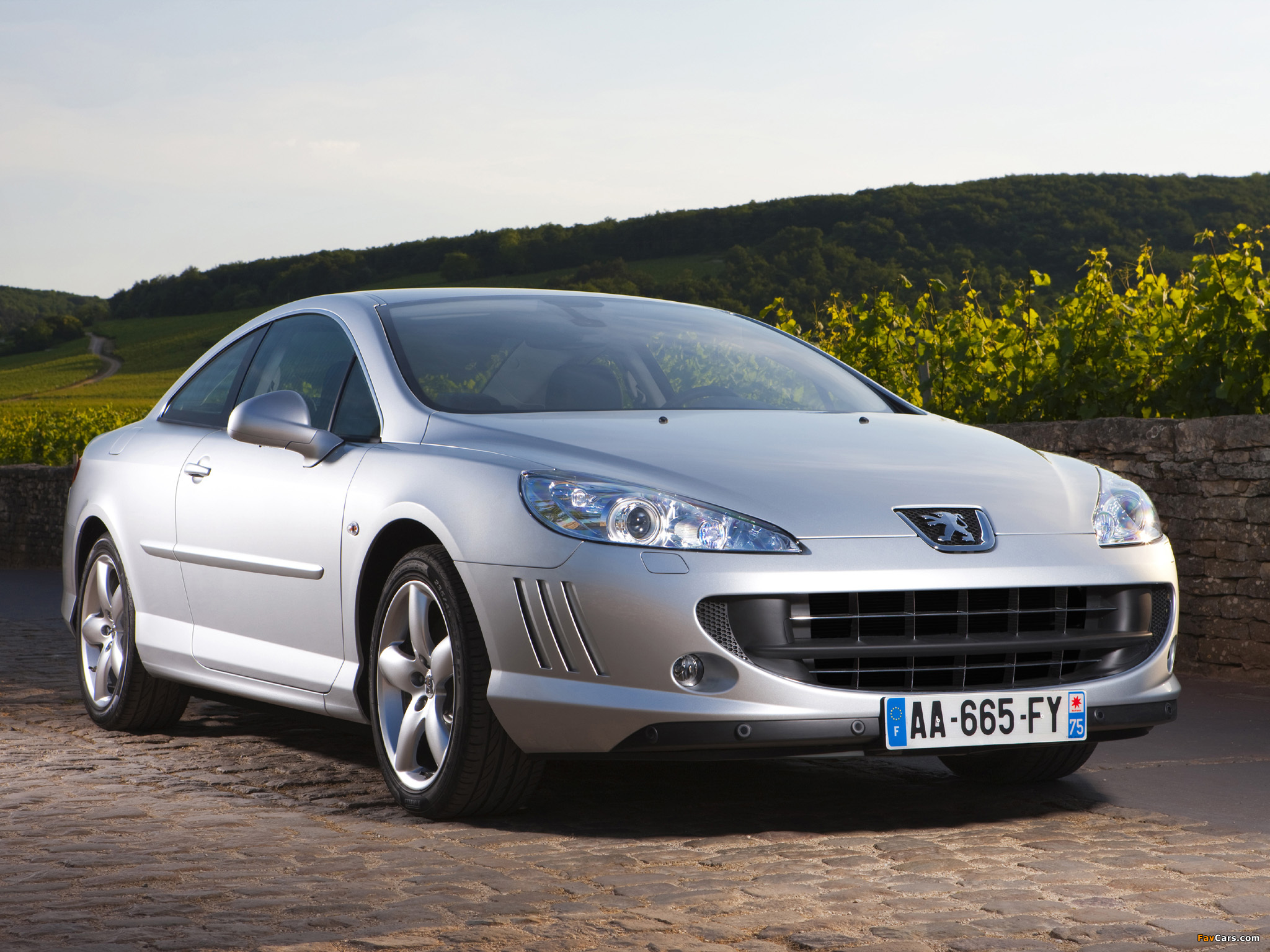 Peugeot 407 Coupe 2005–10 pictures (2048 x 1536)