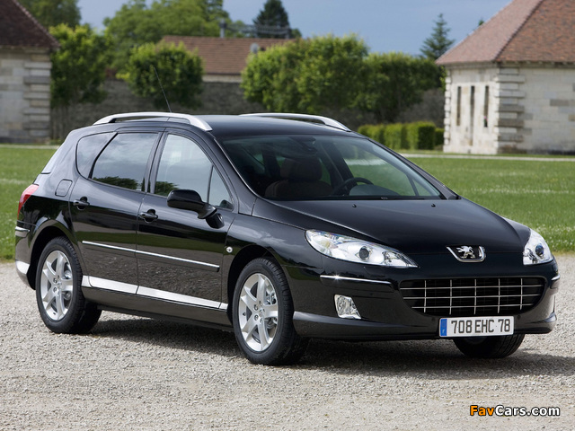 Peugeot 407 SW 2008–10 images (640 x 480)