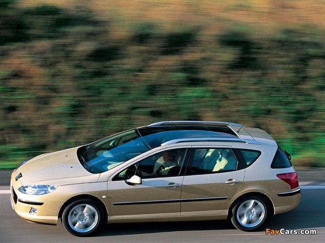 Photos of Peugeot 407 SW 2004–08 (640 x 480)