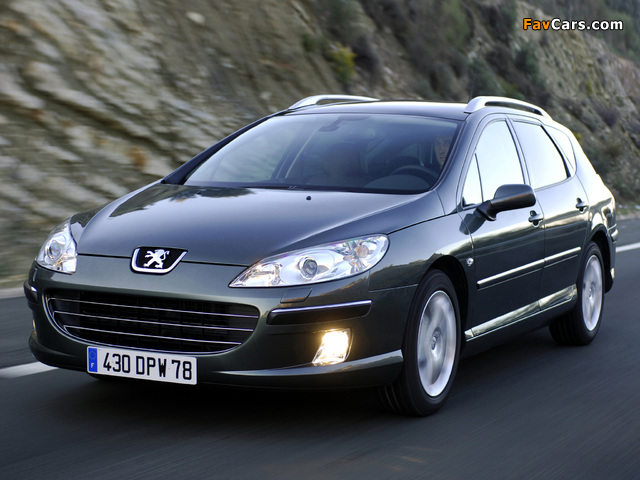 Photos of Peugeot 407 SW 2004–08 (640 x 480)