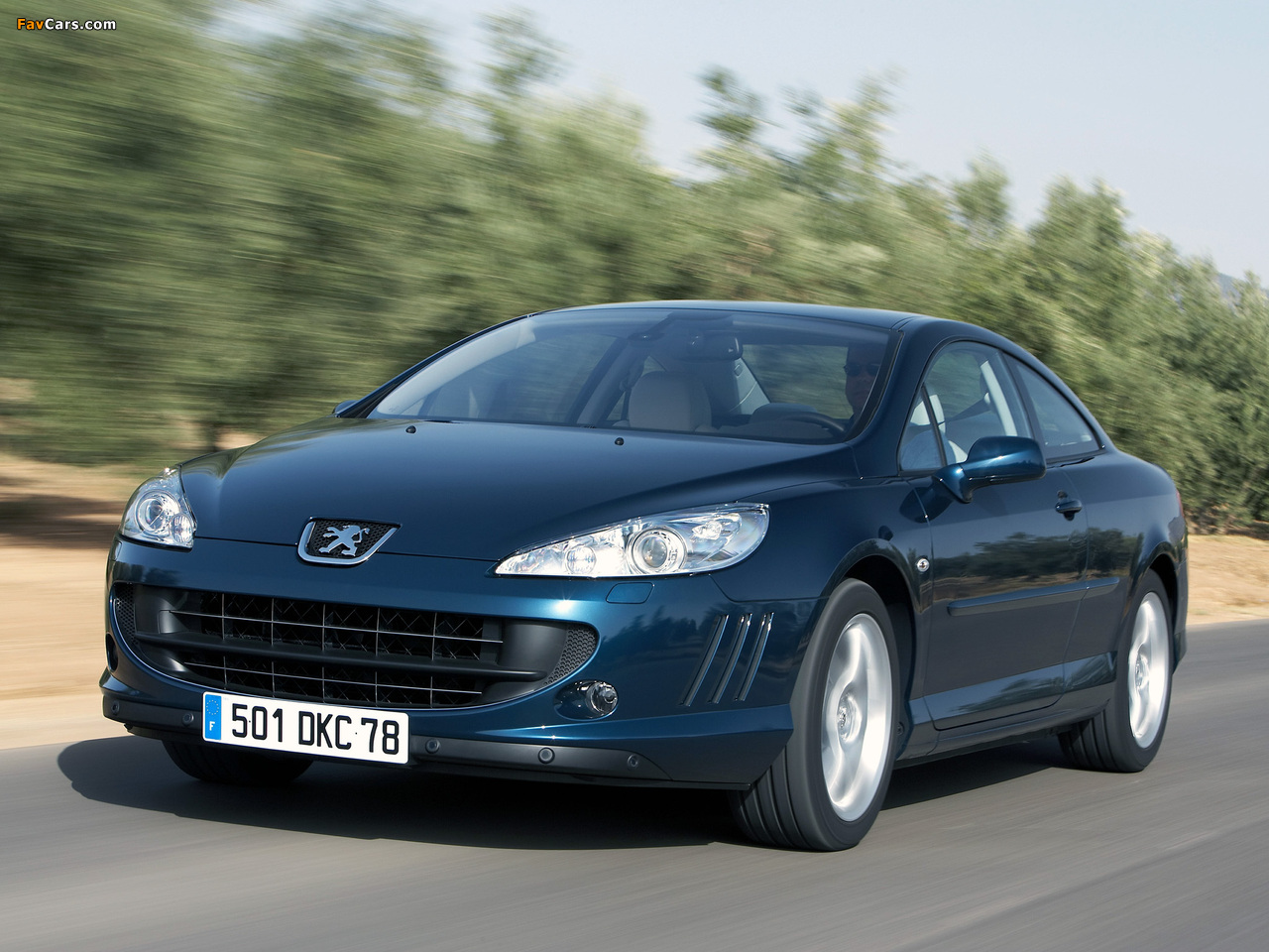Pictures of Peugeot 407 Coupe 2005–10 (1280 x 960)