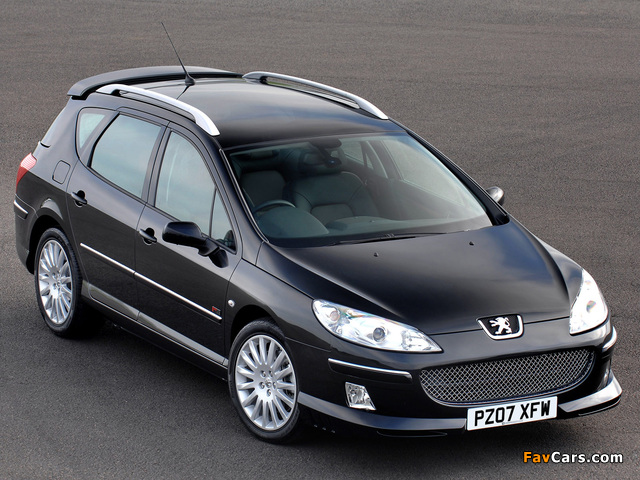 Pictures of Peugeot 407 SW Sport XS 2008–10 (640 x 480)