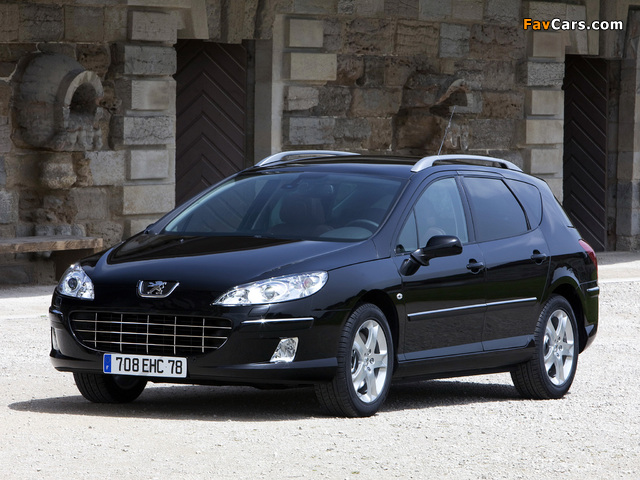 Pictures of Peugeot 407 SW 2008–10 (640 x 480)