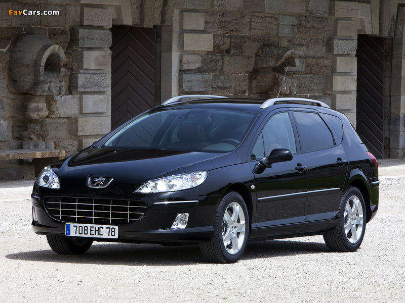 Pictures of Peugeot 407 SW 2008–10 (800 x 600)