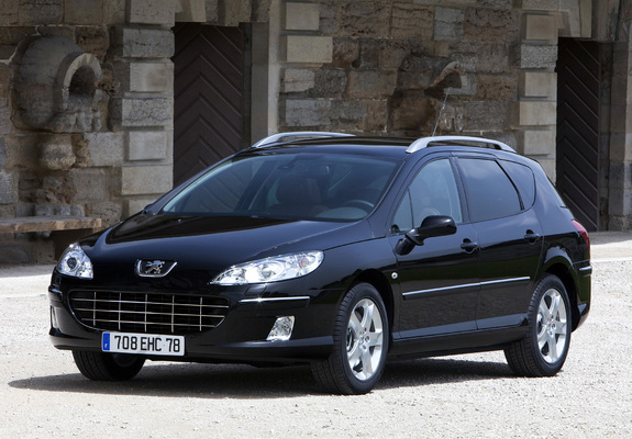 Pictures of Peugeot 407 SW 2008–10