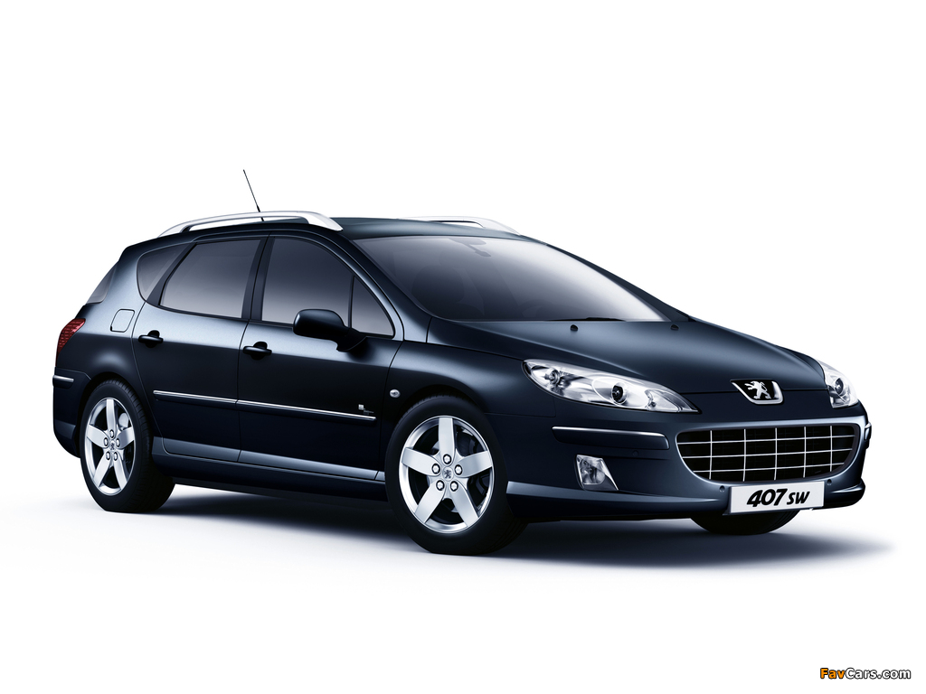 Peugeot 407 SW Black & Silver 2009 wallpapers (1024 x 768)