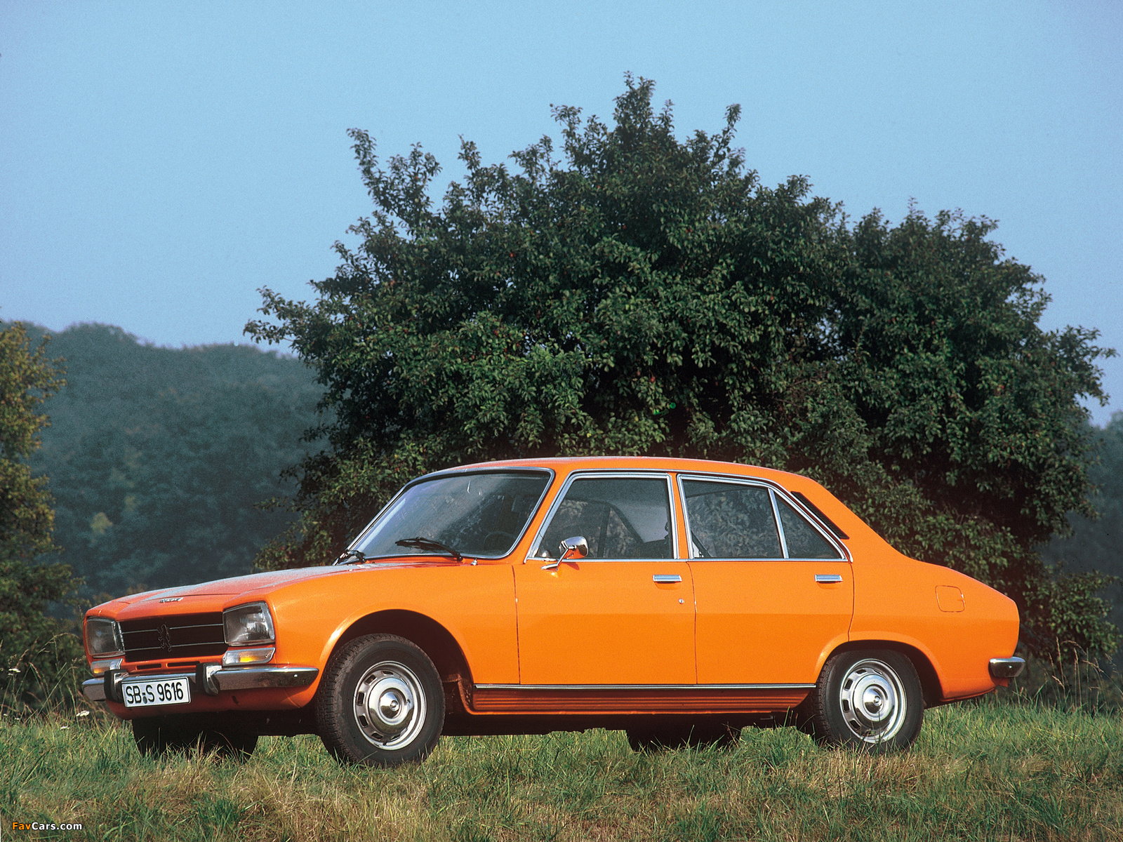 Peugeot 504 1977–79 wallpapers (1600 x 1200)