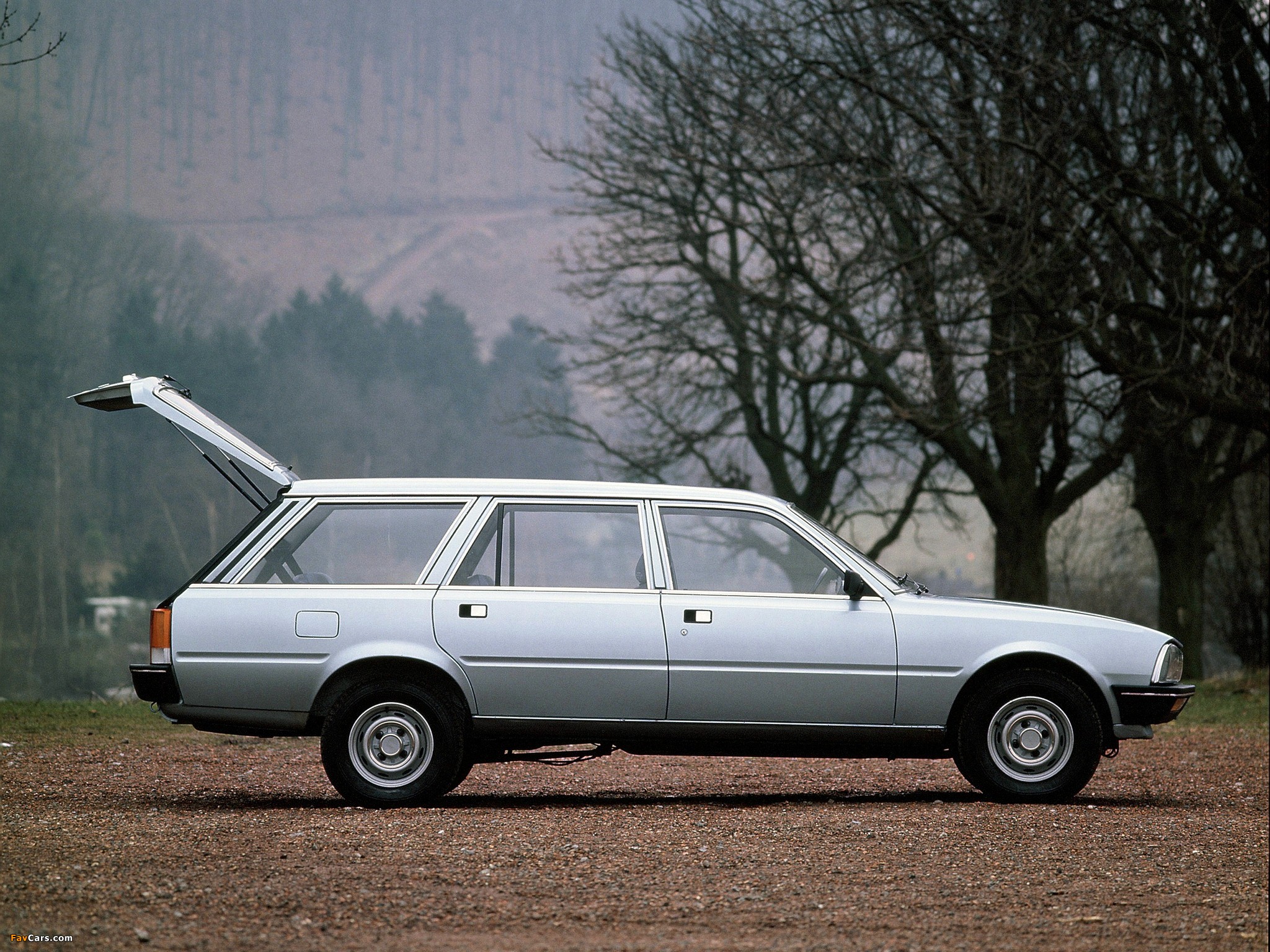 Images of Peugeot 505 Break 1982–93 (2048 x 1536)