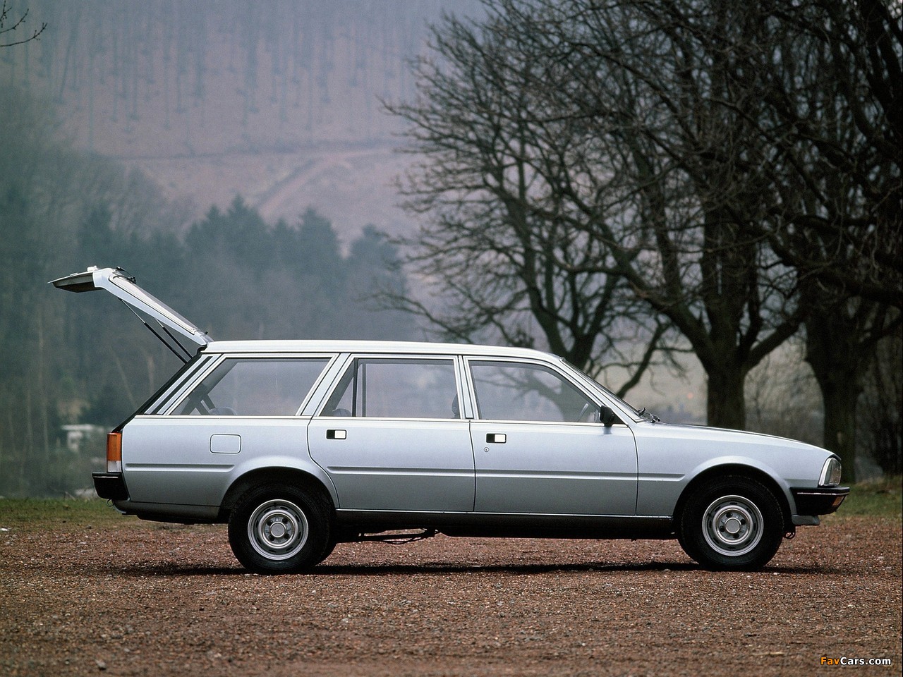 Images of Peugeot 505 Break 1982–93 (1280 x 960)