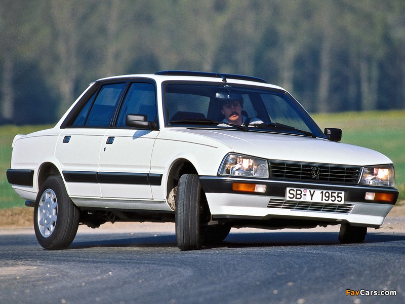 Images of Peugeot 505 V6 1984–90 (800 x 600)