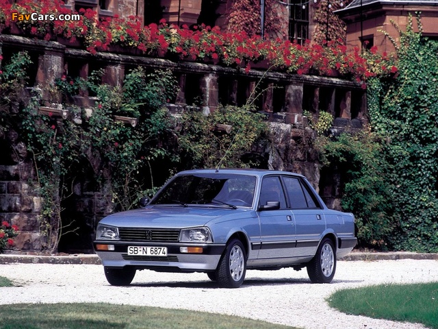 Images of Peugeot 505 1986–89 (640 x 480)