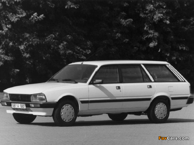 Peugeot 505 Break 1982–93 images (640 x 480)
