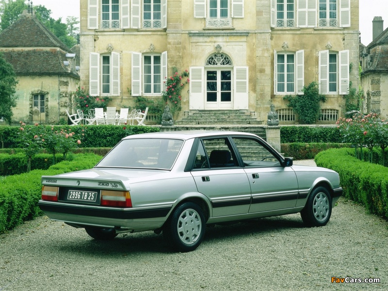 Peugeot 505 V6 1984–90 images (800 x 600)