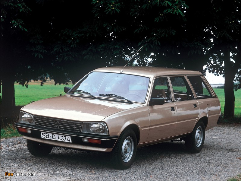 Pictures of Peugeot 505 Break 1982–93 (800 x 600)