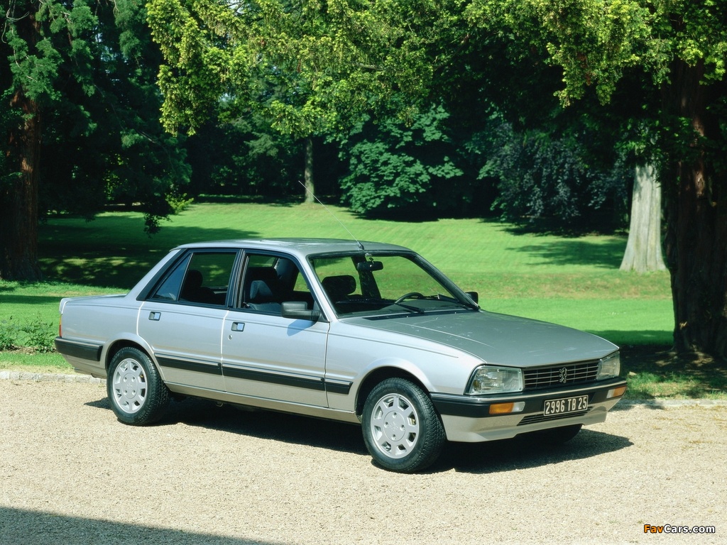 Peugeot 505 V6 1984–90 wallpapers (1024 x 768)