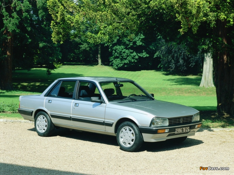 Peugeot 505 V6 1984–90 wallpapers (800 x 600)