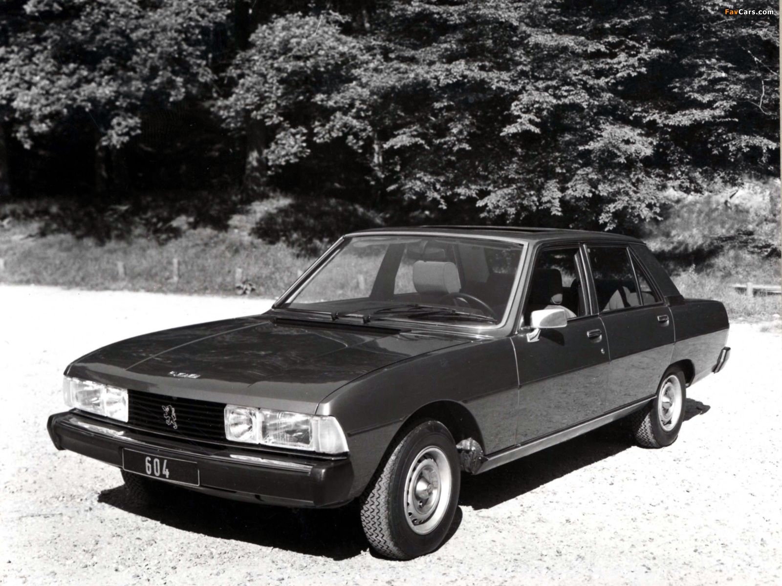 Photos of Peugeot 604 1975–85 (1600 x 1200)