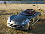 Images of Peugeot 607 Feline Concept 2000