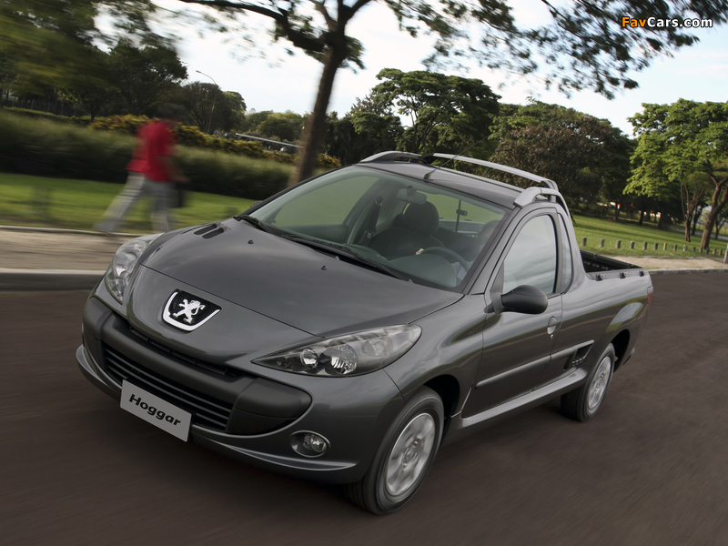 Images of Peugeot Hoggar XR 2010 (800 x 600)