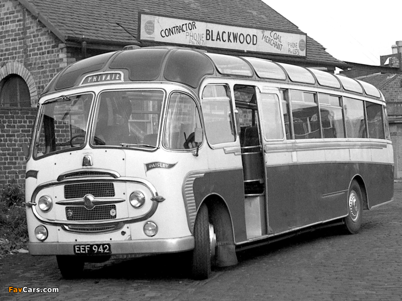 Pictures of Plaxton Bedford SB (C42G) 1954– (800 x 600)