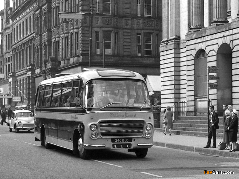 Pictures of Plaxton Bedford SB13 Embassy III (C37F) 1964– (800 x 600)