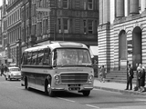 Pictures of Plaxton Bedford SB13 Embassy III (C37F) 1964–