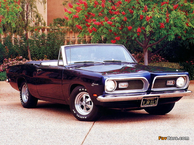 Pictures of Plymouth Barracuda Convertible (BH27) 1969 (640 x 480)