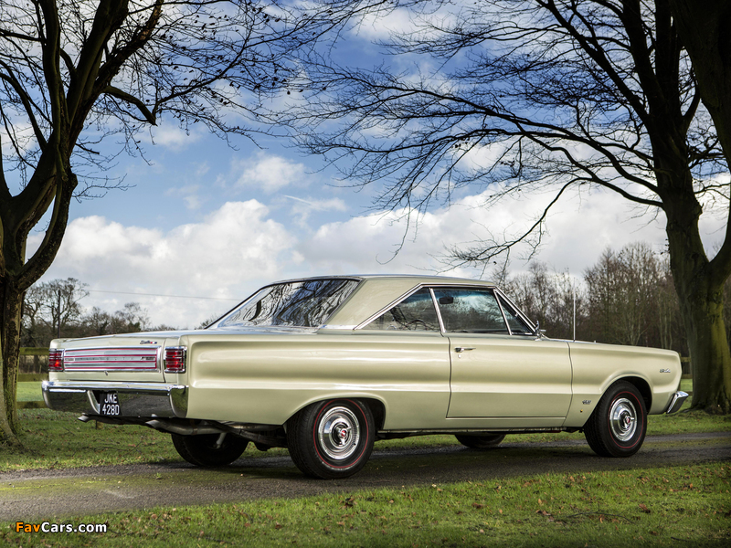 Plymouth Belvedere Satellite 426 Hemi Hardtop Coupe (RP23) 1966 pictures (800 x 600)