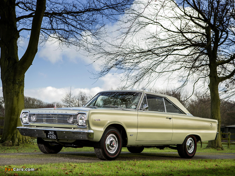 Plymouth Belvedere Satellite 426 Hemi Hardtop Coupe (RP23) 1966 wallpapers (800 x 600)