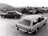 Plymouth Cricket Sedan & Wagon 1973 photos