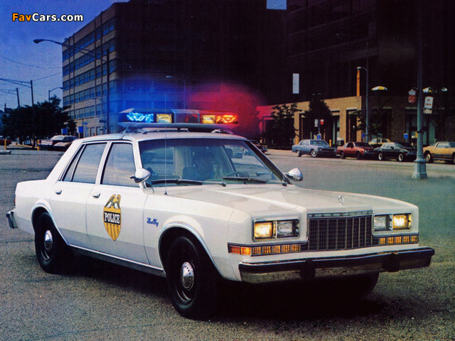 Pictures of Plymouth Gran Fury Pursuit 1982–85 (640 x 480)