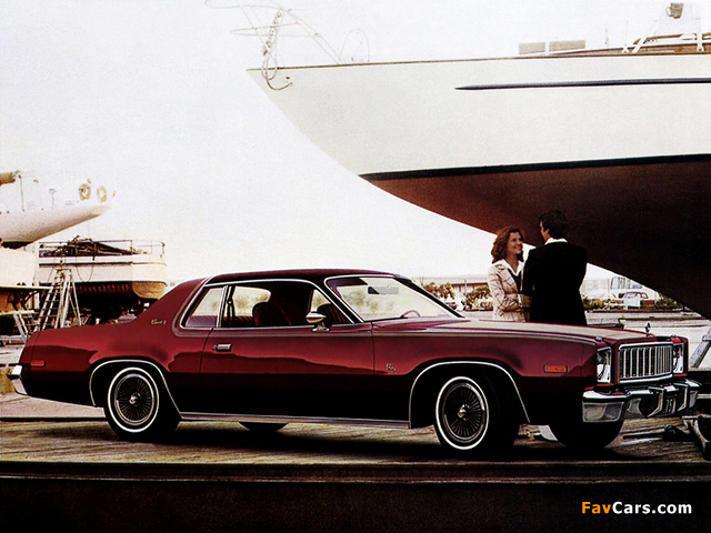 Plymouth Fury Sport Hardtop Coupe (RP23) 1975 wallpapers (640 x 480)