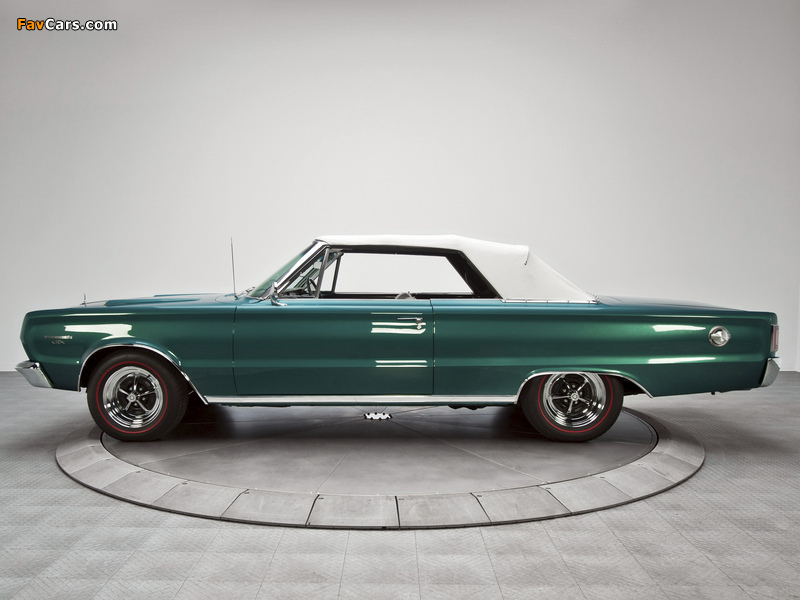 Plymouth Belvedere GTX 440 Convertible (RS27) 1967 images (800 x 600)