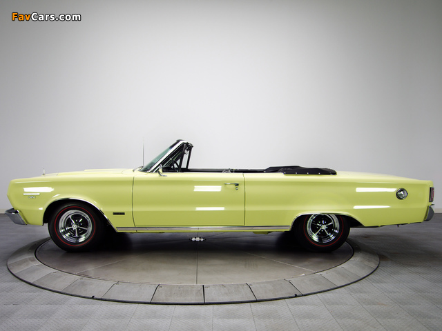 Plymouth Belvedere GTX 426 Hemi Convertible 1967 photos (640 x 480)