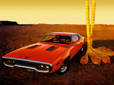 Plymouth Road Runner 383 (RM23) 1971 pictures
