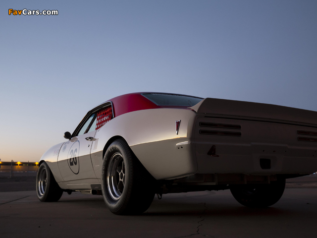 Images of Pontiac Firebird Trans Am Race Car (7L141852) 1968 (640 x 480)