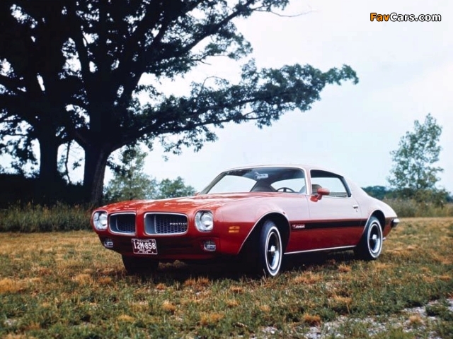 Images of Pontiac Firebird Esprit 1972 (640 x 480)