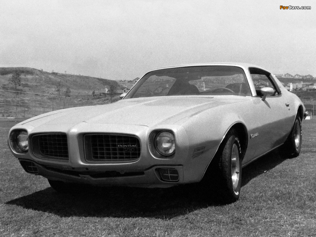 Images of Pontiac Firebird Esprit 1973 (1024 x 768)