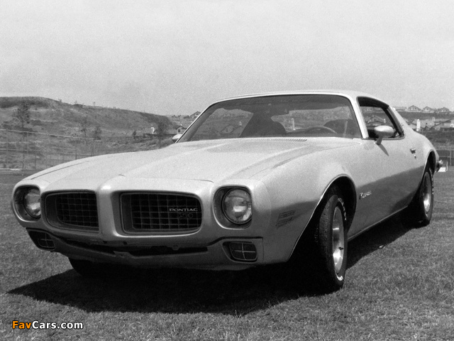 Images of Pontiac Firebird Esprit 1973 (640 x 480)
