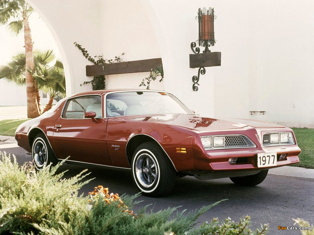 Images of Pontiac Firebird Esprit 1977 (1024 x 768)