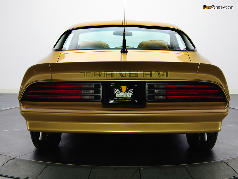 Images of Pontiac Firebird Trans Am Gold Special Edition 1978 (800 x 600)
