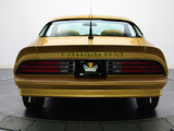 Images of Pontiac Firebird Trans Am Gold Special Edition 1978
