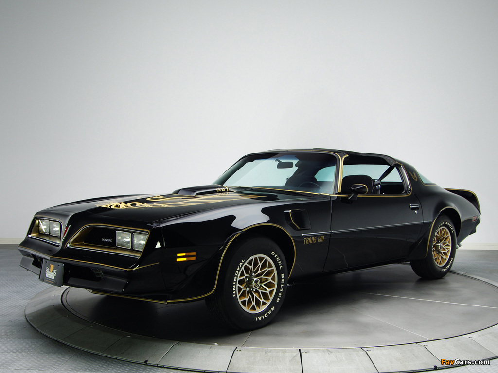 Images of Pontiac Firebird Trans Am T/A 6.6 W72 Black Special Edition 1978 (1024 x 768)