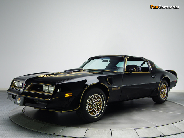 Images of Pontiac Firebird Trans Am T/A 6.6 W72 Black Special Edition 1978 (640 x 480)